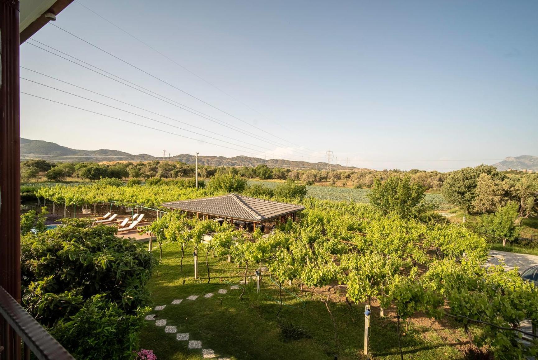 Grape Datca Hotel Kizlan Exterior photo